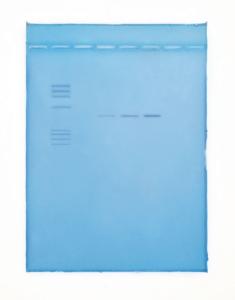 Ward's® Amplification of DNA by PCR Activity