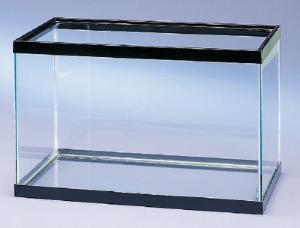 All Glass Aquaria