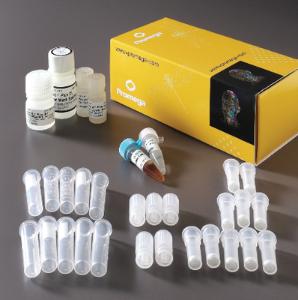 Promega Wizard® Plus SV Miniprep DNA Purification System