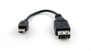 Standard-to-Mini USB Adapter