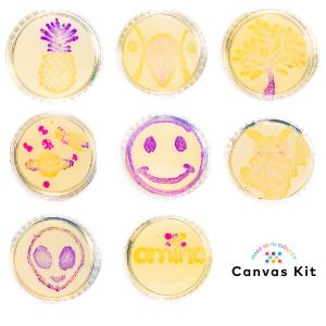 Individual Canvas Kit