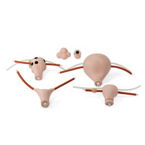 Replacement Uteri Set