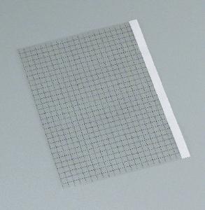 Graph Paper for the Overhead
