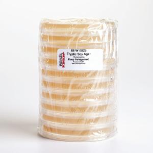 Prepared Tryptic Soy Agar Media