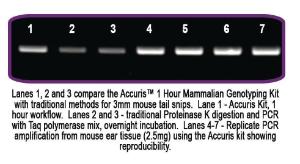 Accuris™ Mammalian Genotyping Kit