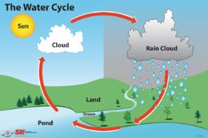 Elementary Water Cycle Poster