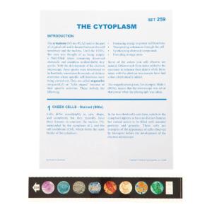 Cytoplasm Microslides