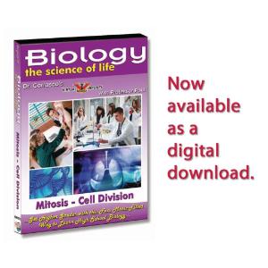 Mitosis - Cell Division