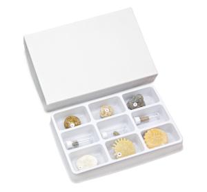 Echinodermata Collection Set