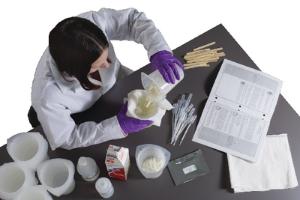 Ward's® Cheesemaking Your Whey Lab Activity
