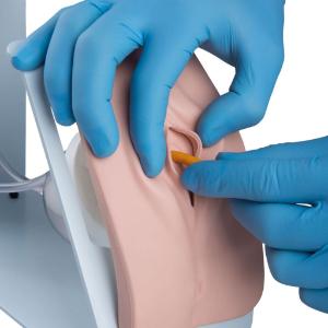 Catheterization Simulation