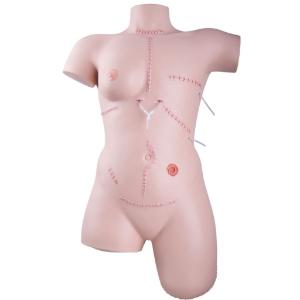 3B Scientific® Wound Care and Bandaging Trainer