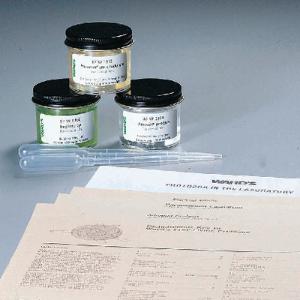 Ward's® Live Protist Sets