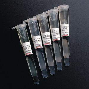 Popular Protists ReadySlide Set