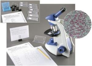 Ward's® The Cell Theory: A Microscopic Journey Lab Activity