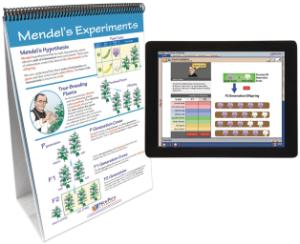 Flipchart with Multimedia Lesson:Genetics