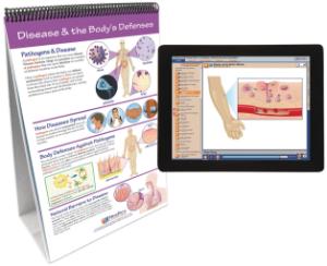 Flipchart with Multimedia Lesson:Humbody 3