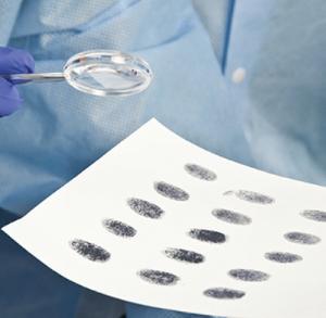 Whose Fingerprints Were Left Behind Lab Activity