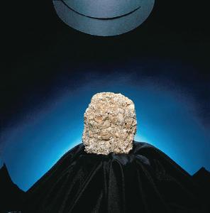 Limestone (Coquina)