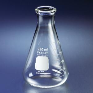 Pyrex® Erlenmeyer Flasks