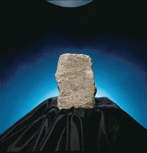 Ward's® Limestone (Encrinal)
