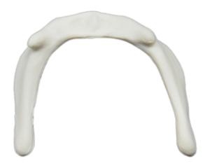 Eisco® Individual Bones, Axial