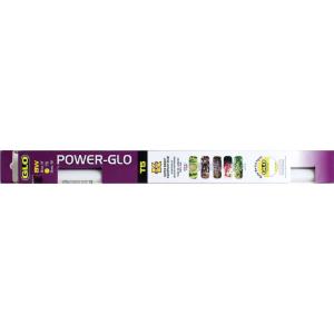 Power Glow Bulb 8 W