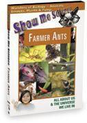 Video DVD biology farmer ants