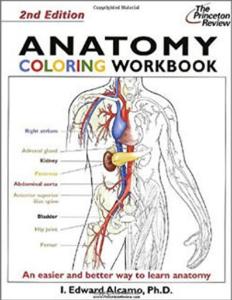 Princeton Review Coloring Books