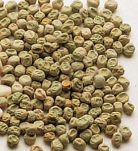 Green Seeds