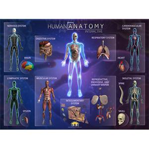 Smart Mat Human Anatomy