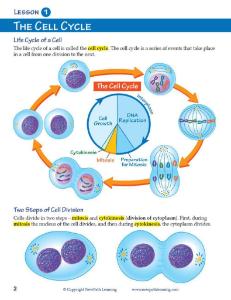 Guide, mitosis W online lesson