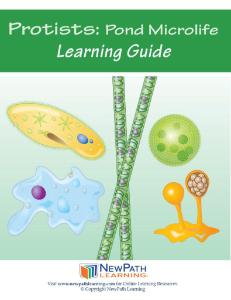 Guide, protists W online lesson