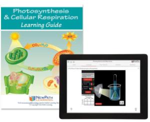 Guide, photosynthesis W online lesson