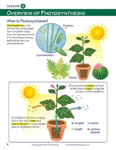 Guide, photosynthesis W online lesson