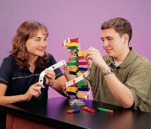 DNA Model Kit