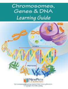Guide, genes DNA W online lesson