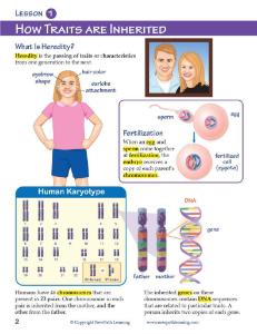 Guide, genetics W online lesson