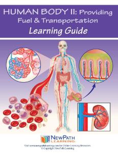 Guide, fuel body W online lesson