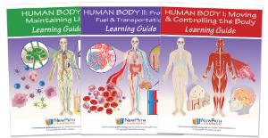 Guide, human body guides W lesson set/3