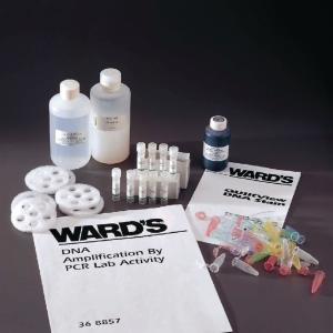 Ward's® DNA Amplification by PCR Lab Activity