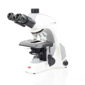 Panthera U Binocular Microscope With Binocular Head