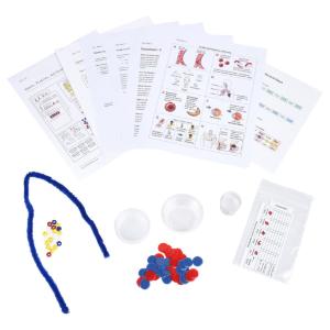 Genes, proteins, and sickle cells, single kit