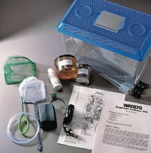 Ward's® Daphnia Culturing Kit