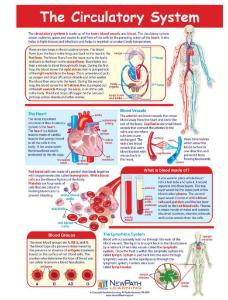 Game circulatory system LC-GR 6-9