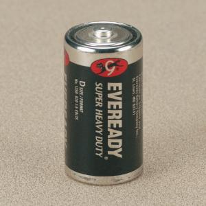 1.5 V Alkaline Batteries
