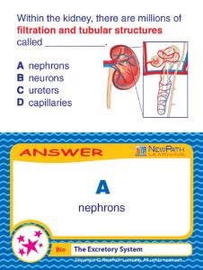 Game excretory system LC-GR 6-9