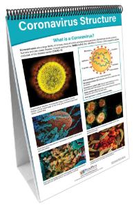 Chart coronavirus