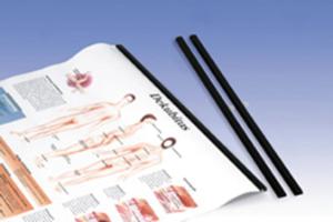 3B Scientific® Chart Slip Rods