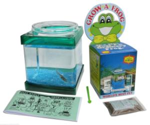 Grow-A-Frog Kit